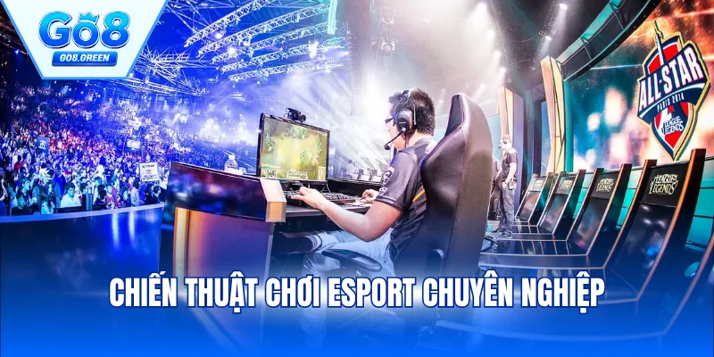 Chiến Thuật Chơi Esport Chuyên Nghiệp Để Thống Trị Meta Mới